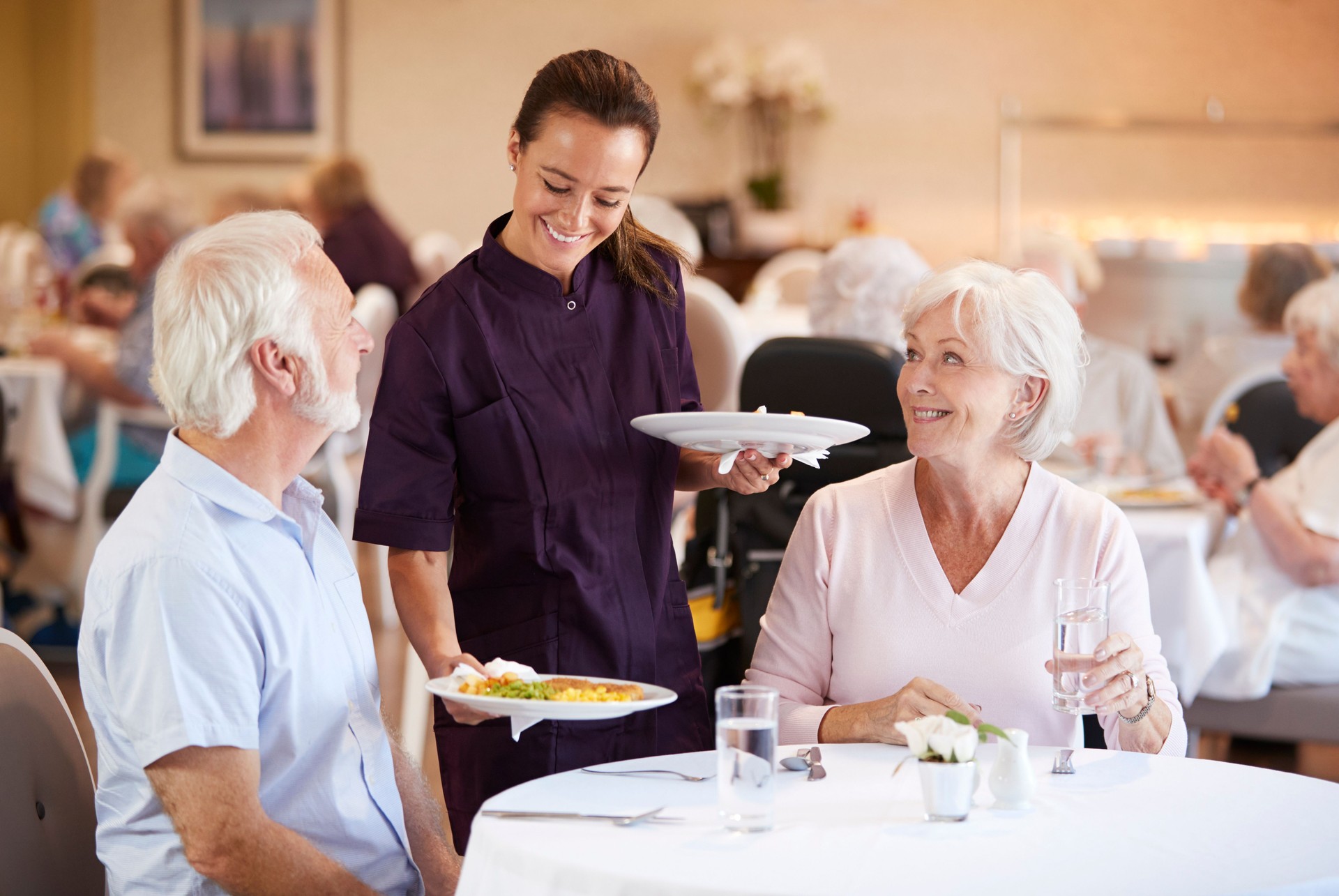 Couple de personnes âgées étant servi avec repas par une tierce personne dans la salle à manger de la maison de retraite